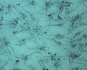 Fotografi af plexiglasoverfladen set igennem mikroskop. Her ses tydeligt det netværk af lrakeleringer, der opstod som følge af rensningen med superkritisk CO2