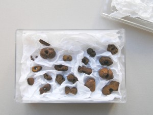 De konserverede perler pakkes adskilt fra hinanden i syrefrit silkepapir